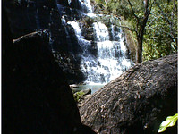 Tarzan Falls