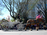 Cherry Blossom Parade '09