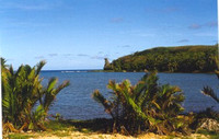 Bay