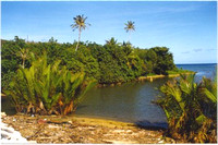 Cove