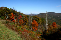 Fall Colors Shenandoah