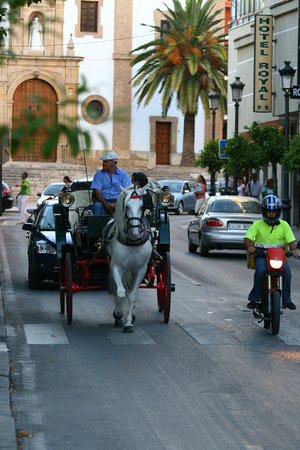 Andalucian Horse & Carriage