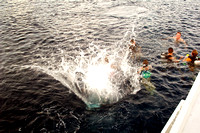 Splash