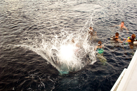 Splash