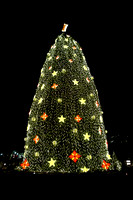 Nat'l Christmas Tree - Dec '09