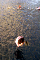 ZipDive