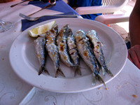 Plate of Sardines